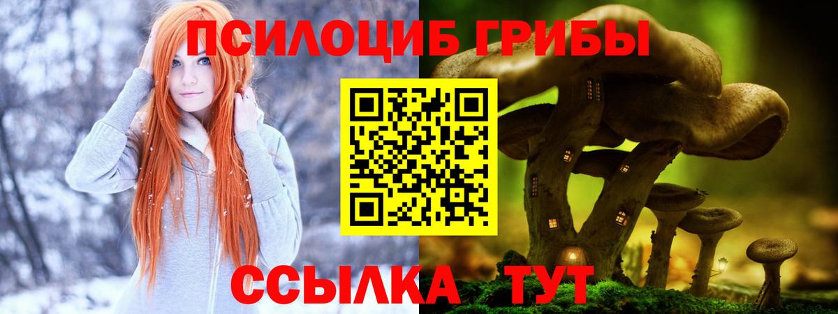 Псилоцибиновые грибы ЛСД Ленинск-Кузнецкий